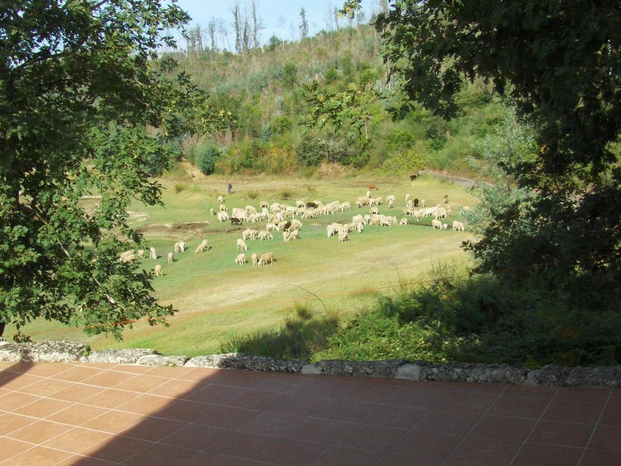 Traditional Mansion In Treixedo With Swimming Pool Dış mekan fotoğraf