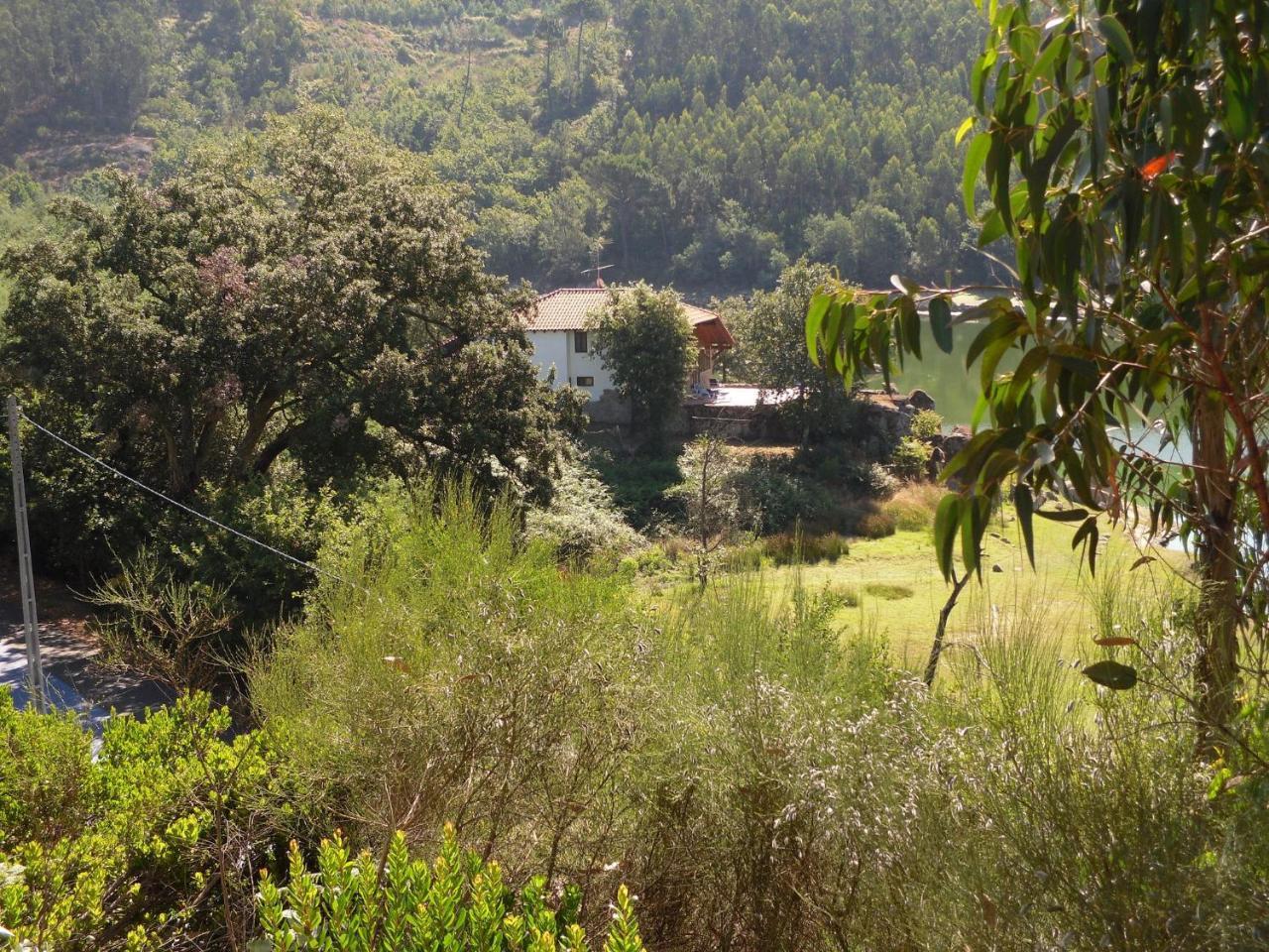 Traditional Mansion In Treixedo With Swimming Pool Dış mekan fotoğraf